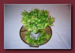 Kliknite za pove�avo slike